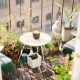 Ogród na balkonie – jak go stworzyć i utrzymać?